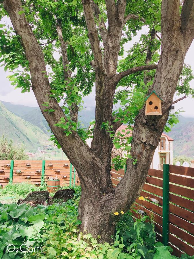 Greenhill Kazbegi Εξωτερικό φωτογραφία